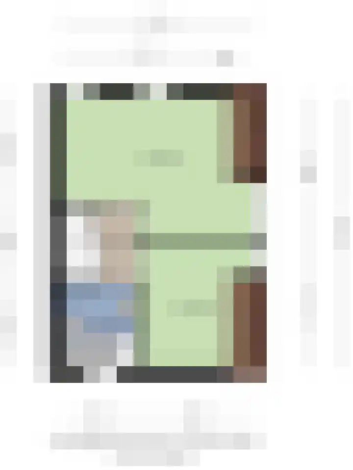 Den Hul 6 Lith thumbnail 33
