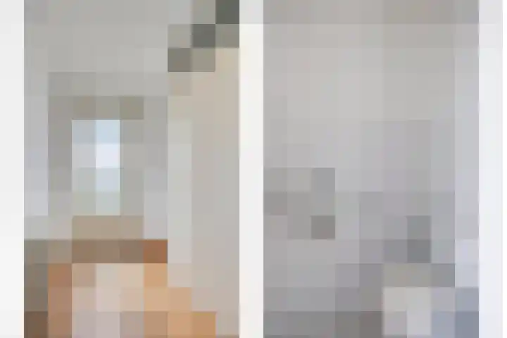 Den Hul 6 Lith thumbnail 5