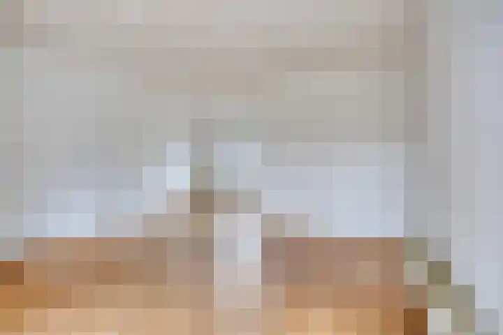 Den Hul 6 Lith thumbnail 6