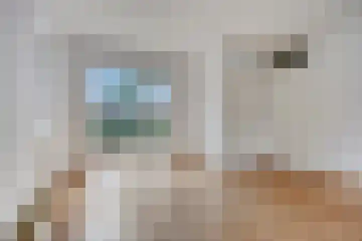 Den Hul 6 Lith thumbnail 8