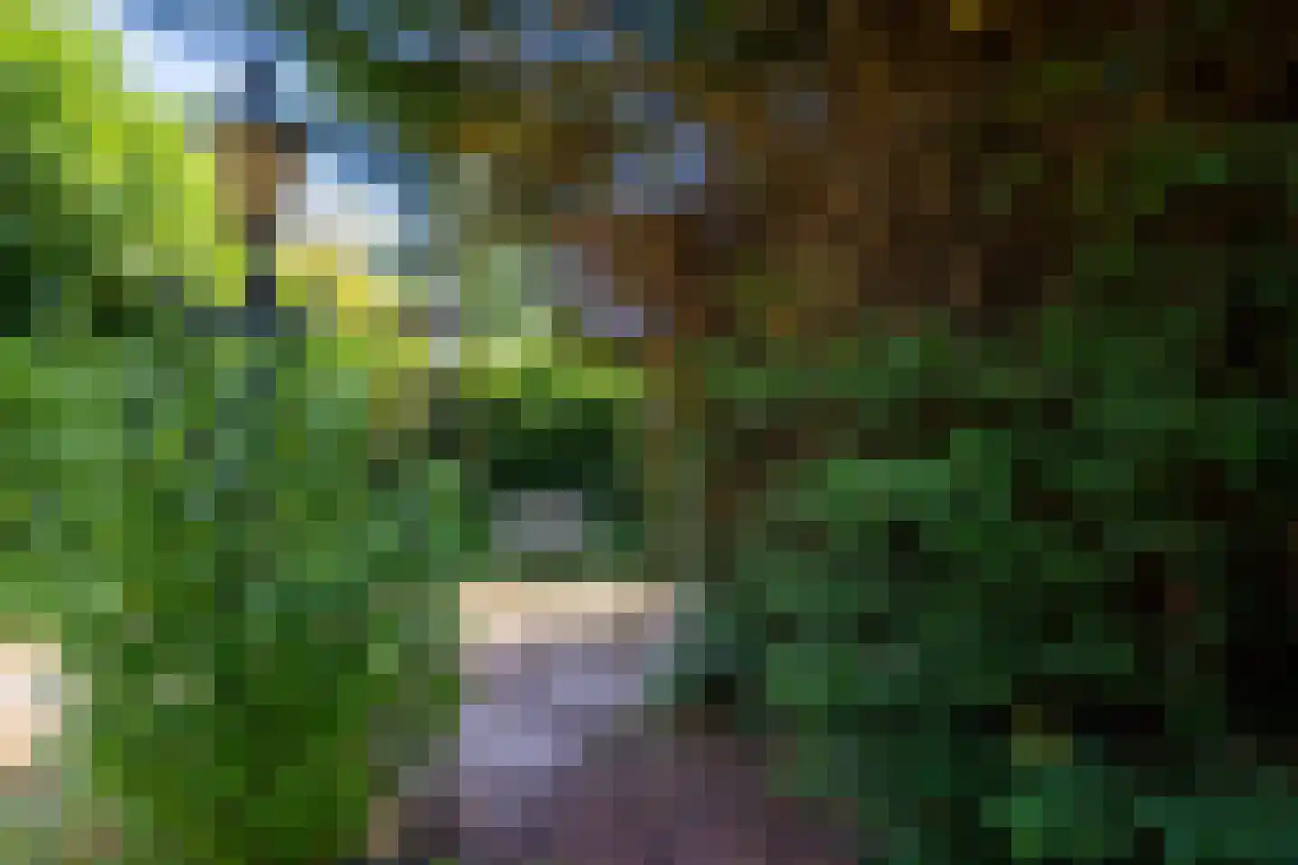 Den Ilp 103 Den Ilp thumbnail 17