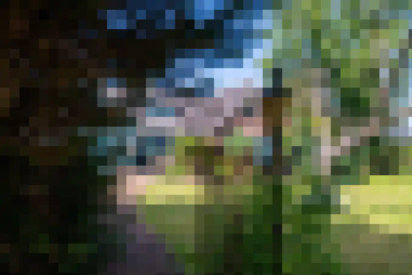 Den Ilp 103 Den Ilp thumbnail 18