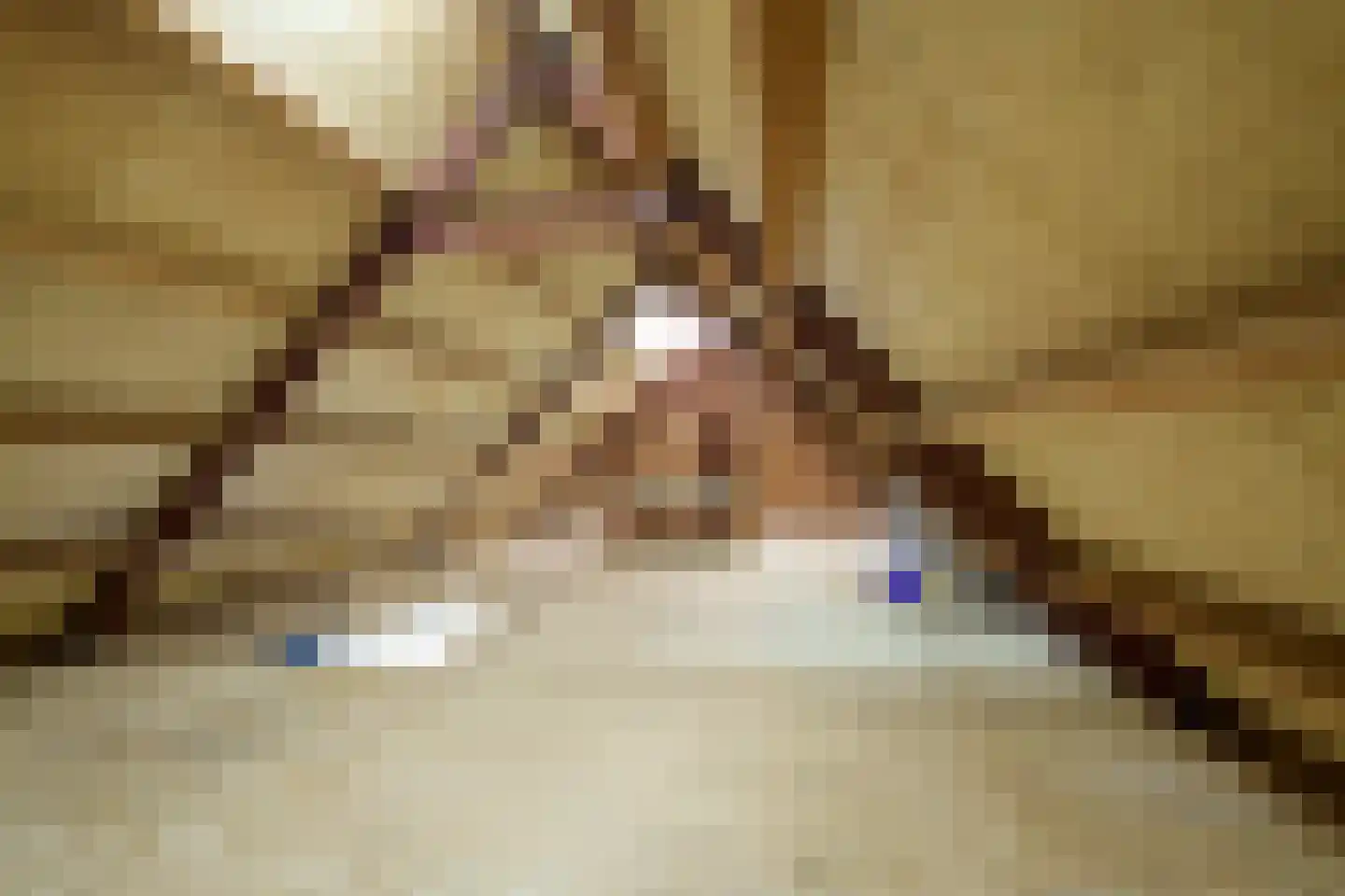Den Ilp 103 Den Ilp thumbnail 31