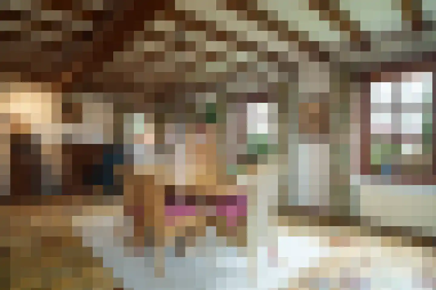 Den Ilp 103 Den Ilp thumbnail 8
