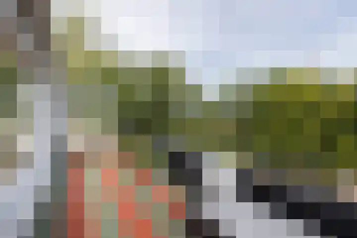 Den Koem 94 Groenlo thumbnail 19