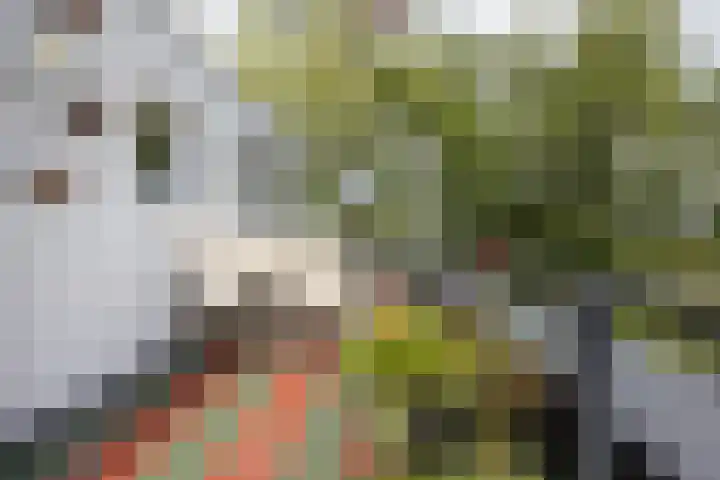 Den Koem 94 Groenlo thumbnail 20