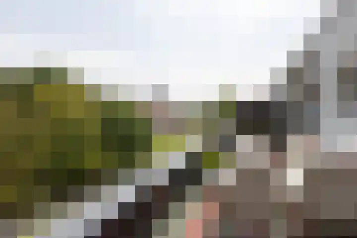 Den Koem 94 Groenlo thumbnail 21
