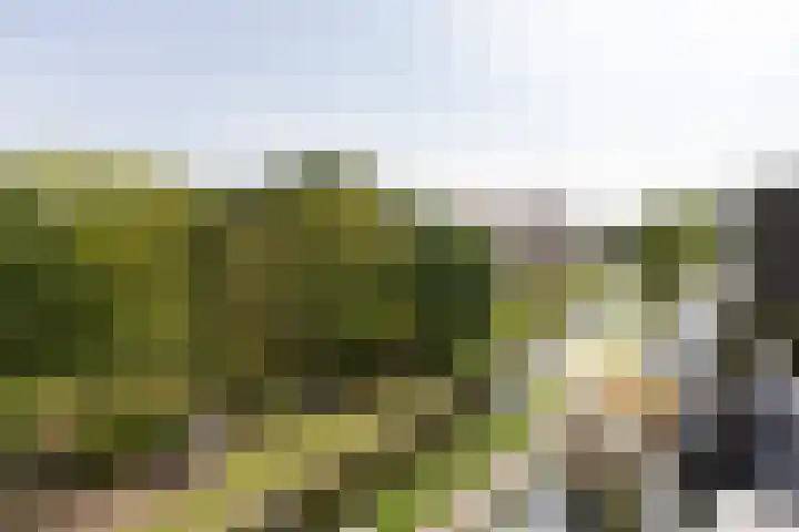 Den Koem 94 Groenlo thumbnail 22