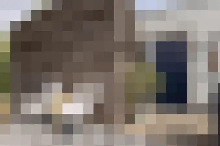 Den Koem 94 Groenlo thumbnail 23