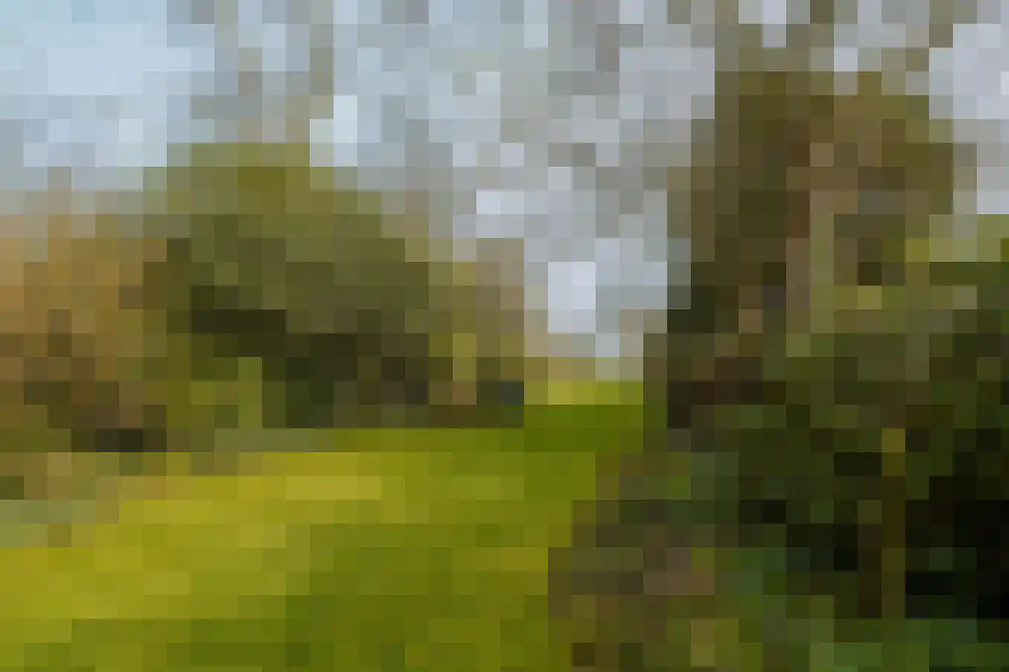 Den Koem 94 Groenlo thumbnail 28