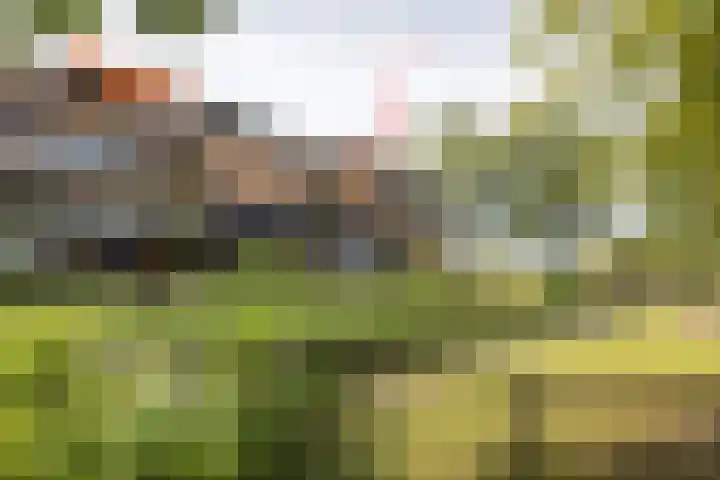 Den Koem 94 Groenlo thumbnail 33