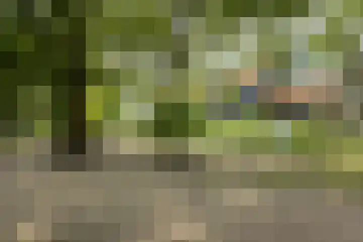 Den Koem 94 Groenlo thumbnail 34