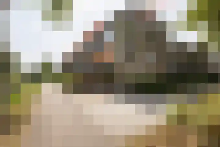 Den Koem 94 Groenlo thumbnail 35