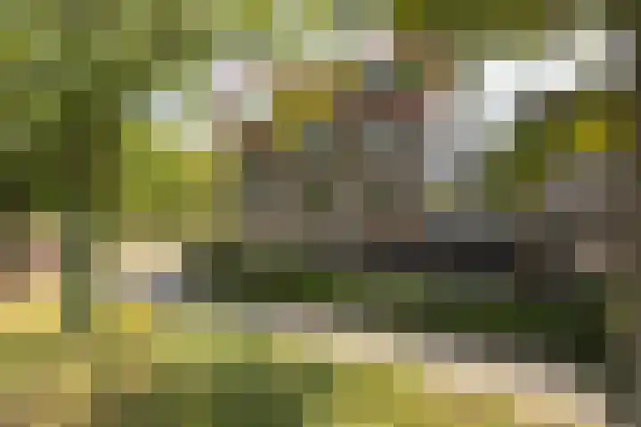 Den Koem 94 Groenlo thumbnail 36