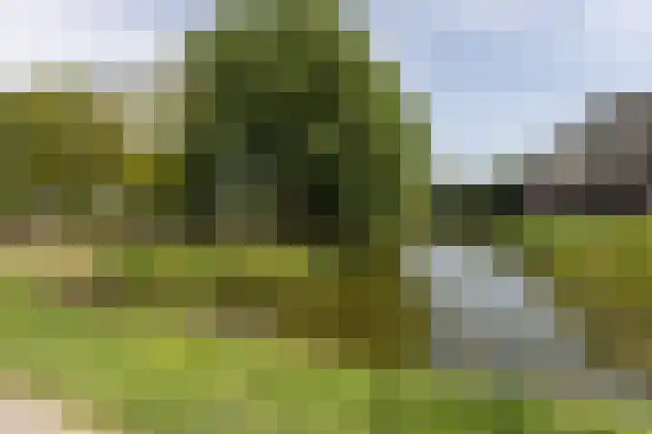 Den Koem 94 Groenlo thumbnail 37