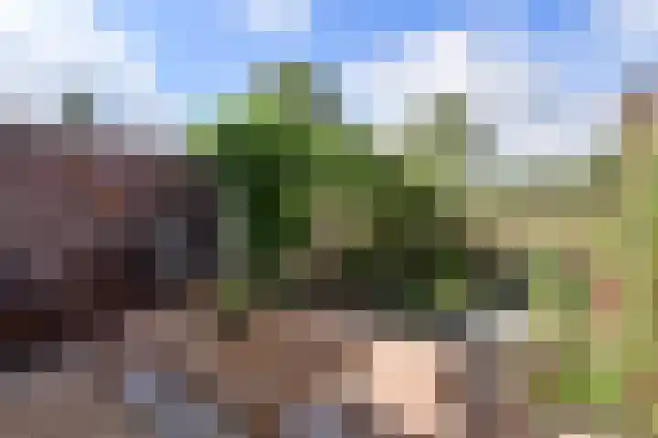 Den Ool 6 Hilversum thumbnail 13