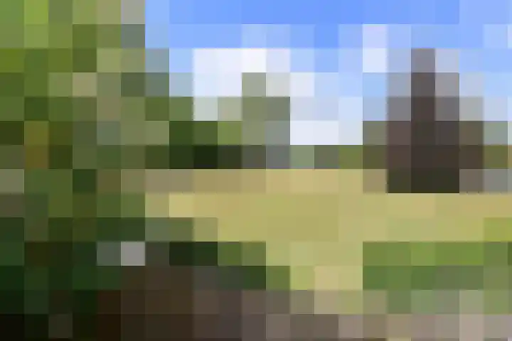 Den Ool 6 Hilversum thumbnail 14