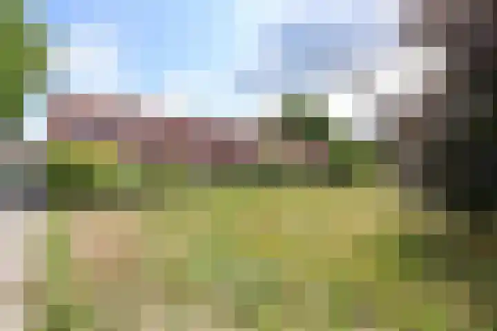 Den Ool 6 Hilversum thumbnail 17