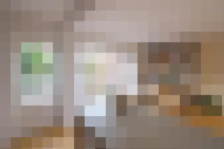 Den Ool 6 Hilversum thumbnail 8