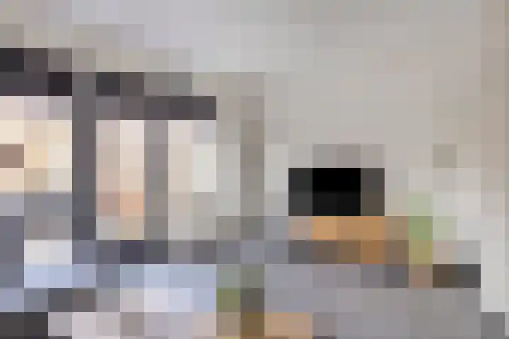 Den Oven 10 A Geffen thumbnail 12