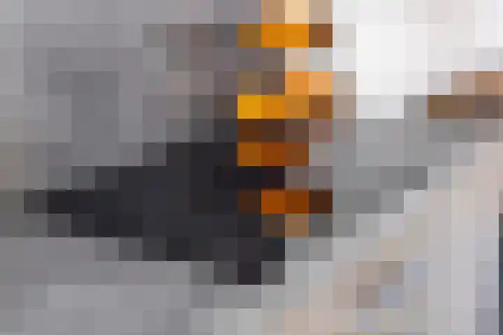 Den Oven 10 A Geffen thumbnail 14