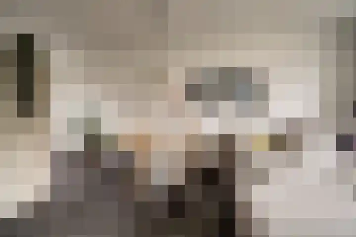 Den Oven 15 Geffen thumbnail 11