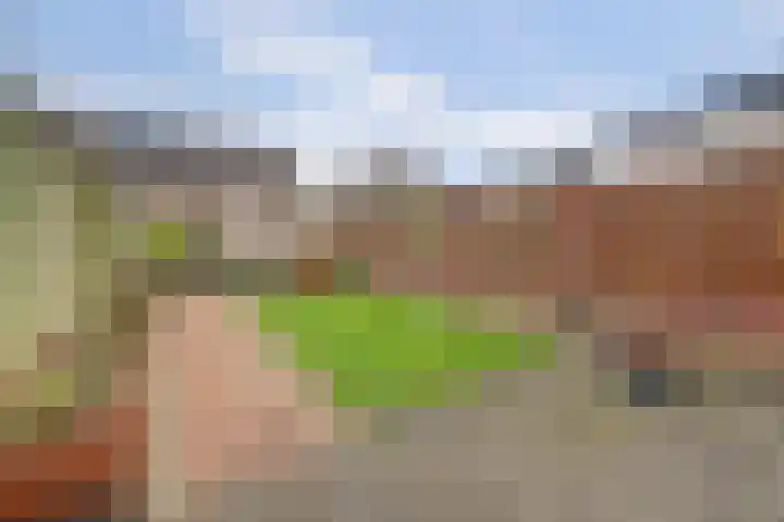 Den Oven 15 Geffen thumbnail 32