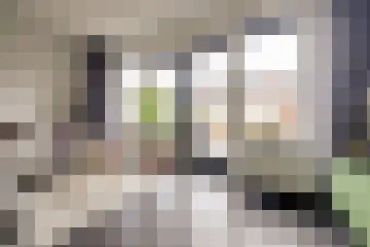Den Oven 15 Geffen thumbnail 5