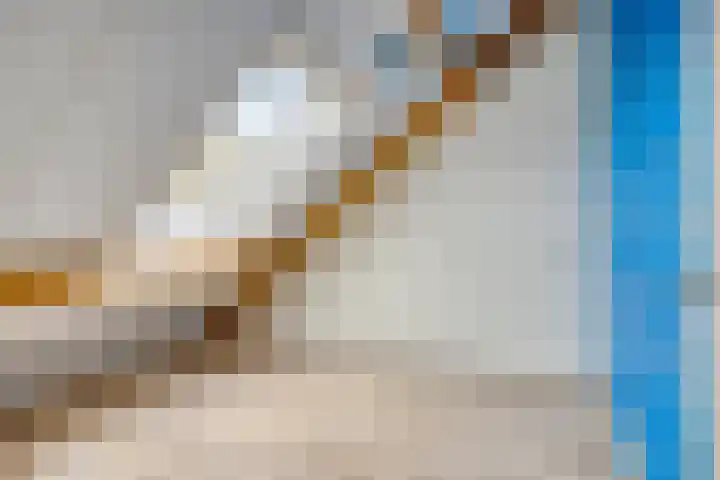 Den Oven 37 Geffen thumbnail 26