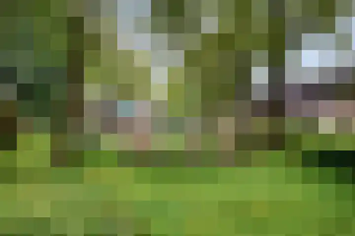 Den Oven 37 Geffen thumbnail 36