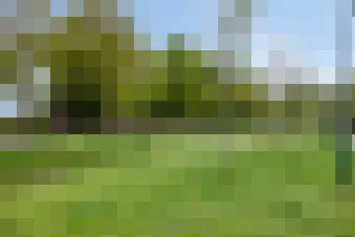 Den Oven 37 Geffen thumbnail 37