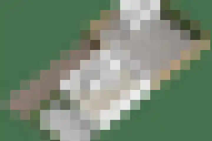 Den Oven 37 Geffen thumbnail 39