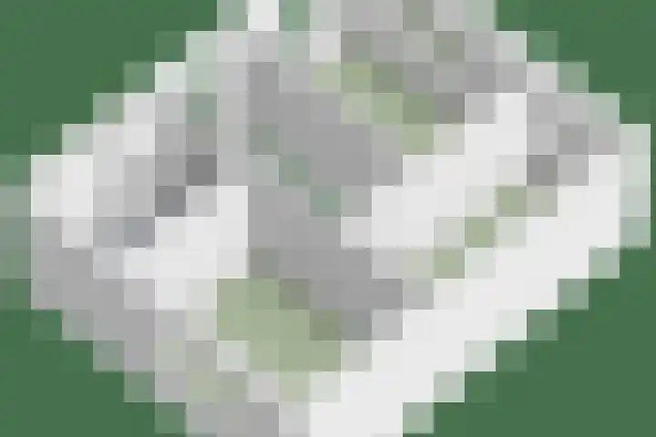 Den Oven 37 Geffen thumbnail 43