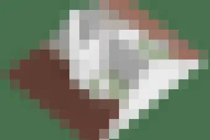Den Oven 37 Geffen thumbnail 45