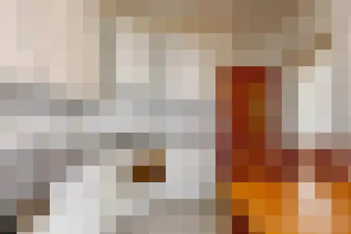 Den Roover 22 Reuver thumbnail 12