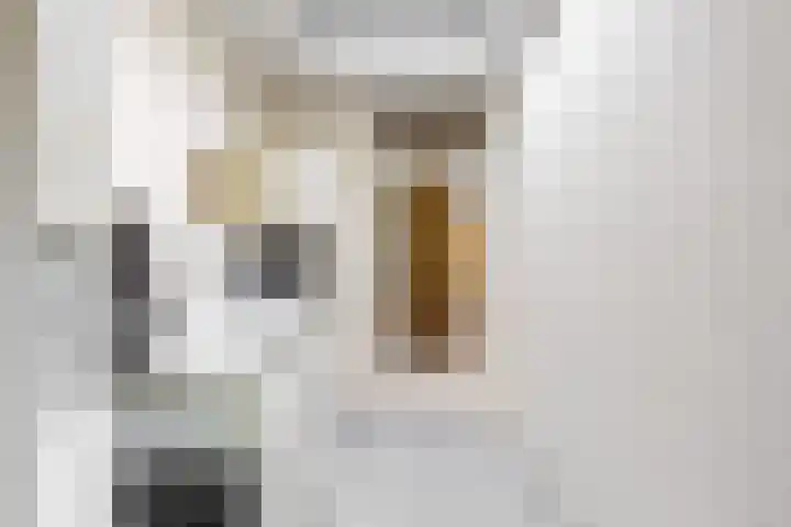 Den Roover 22 Reuver thumbnail 14