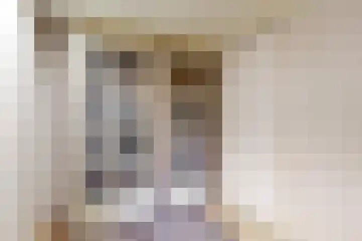 Den Roover 22 Reuver thumbnail 15