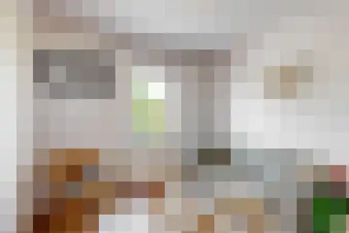 Den Roover 22 Reuver thumbnail 26