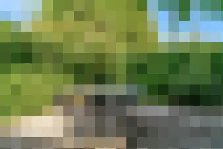 Den Roover 22 Reuver thumbnail 29