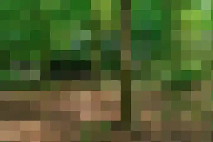 Den Roover 22 Reuver thumbnail 37