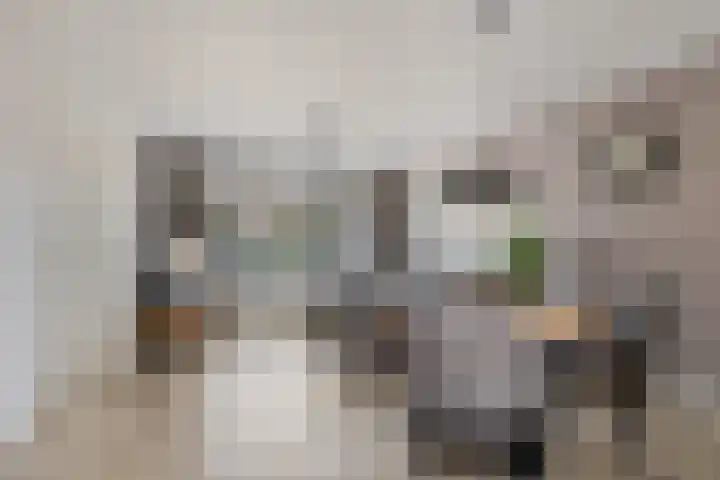 Den Tip 5 Heusden thumbnail 11