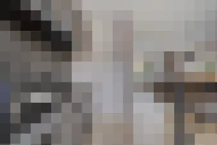 Den Tip 5 Heusden thumbnail 16