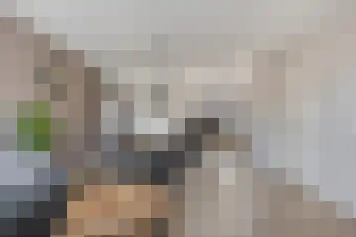 Den Tip 5 Heusden foto 2