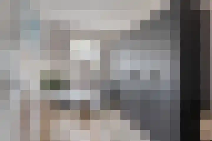 Den Tip 5 Heusden thumbnail 21
