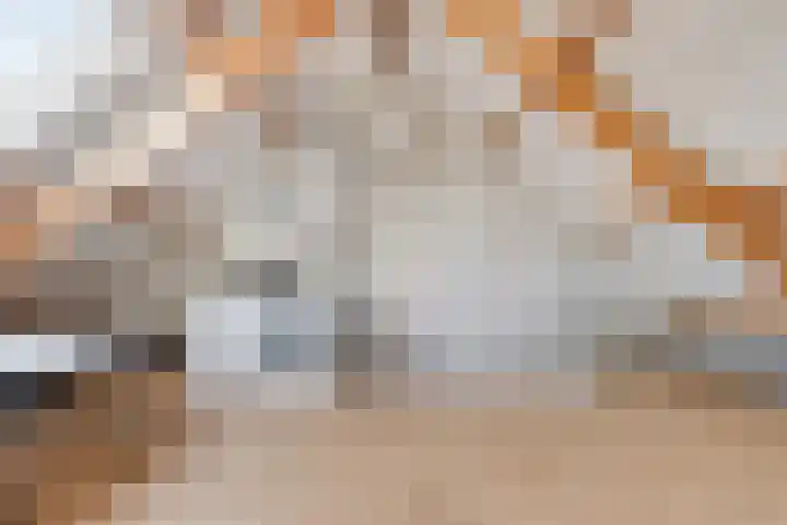 Den Tip 5 Heusden thumbnail 23