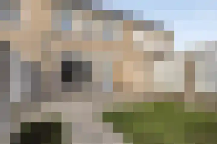 Den Tip 5 Heusden thumbnail 25