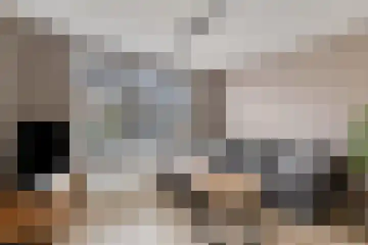 Den Tip 5 Heusden thumbnail 9