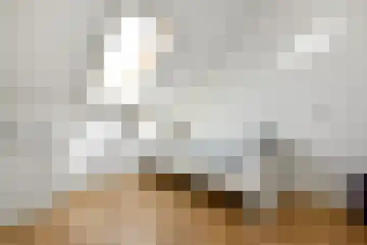 Denarius 35 Elst thumbnail 46