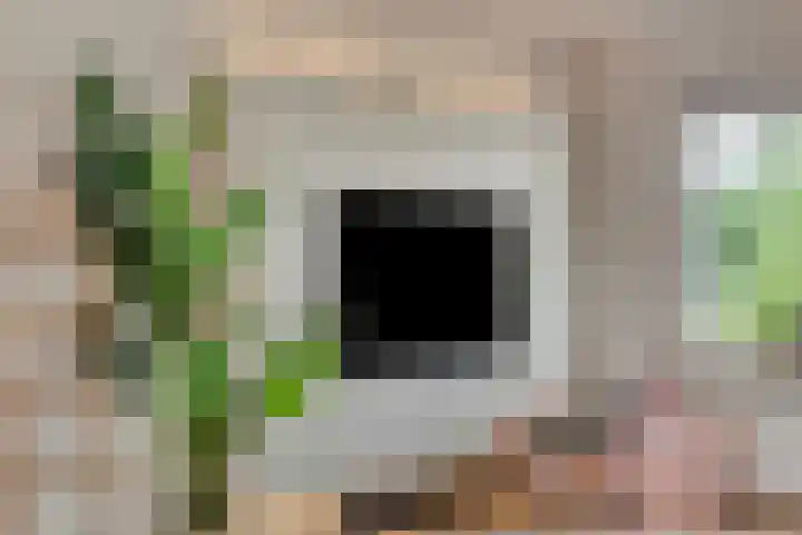 Denekamperdijk 30 Losser thumbnail 11