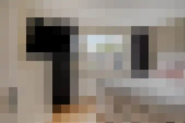 Denekamperdijk 30 Losser thumbnail 24